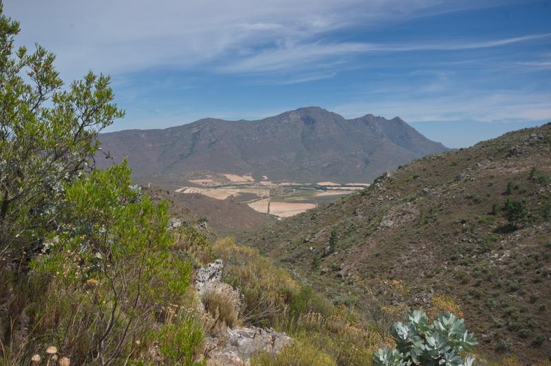 6 Bedroom Property for Sale in Piketberg Rural Western Cape